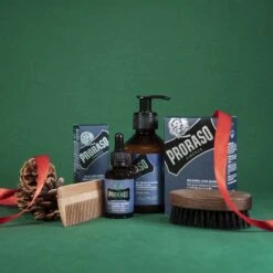 Skjeggsett - SĂžlv